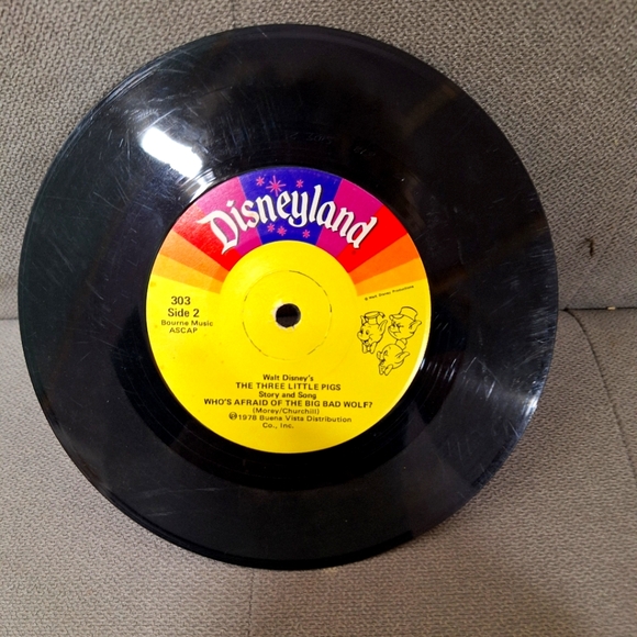 Disneyland Record - Picture 1 of 2